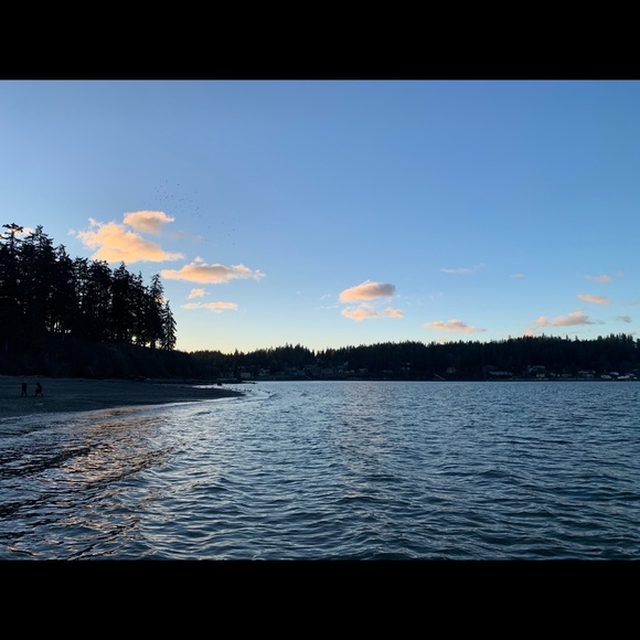 Meet your Posher, Rinoa - Picture 1 of 1